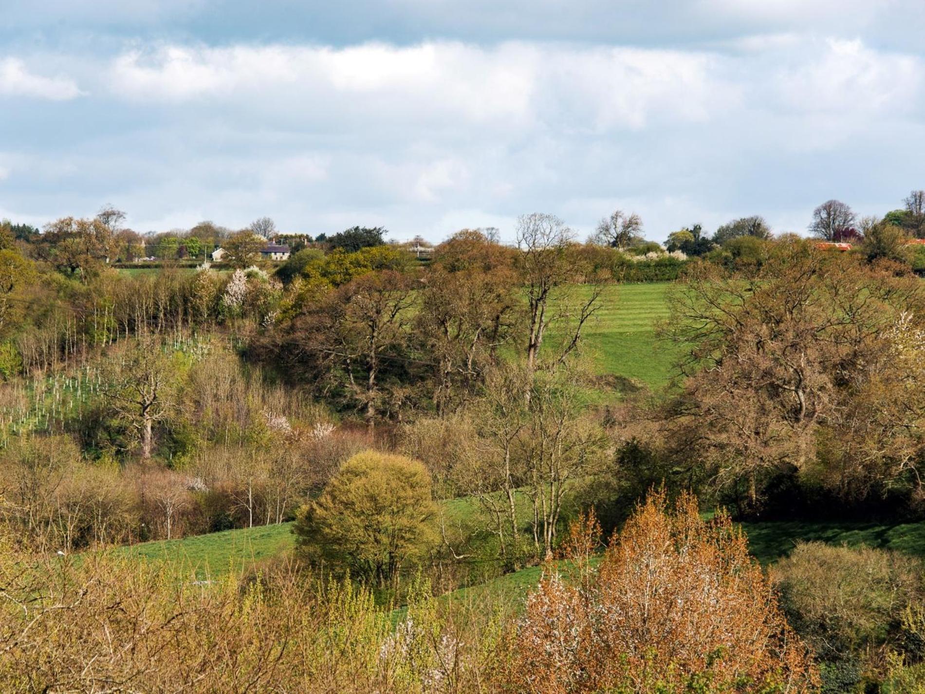 1 Bed In Melbury Abbas 48717ヴィラ エクステリア 写真